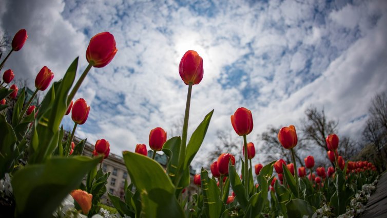 Времето утре: Сутринта хладно, после слънчево