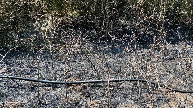 Пожар взе жертва в кърджалийско село