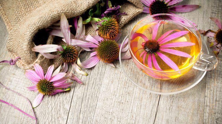 Мощните билки, които ни пазят от грипа