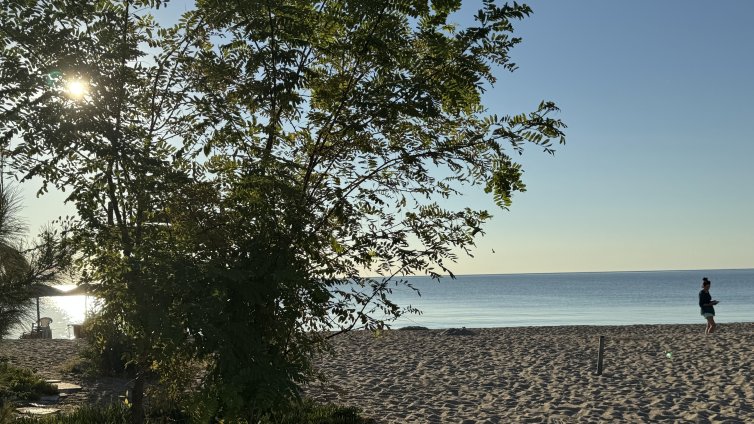 Слънчево и топло ще е днес, до 30&deg;