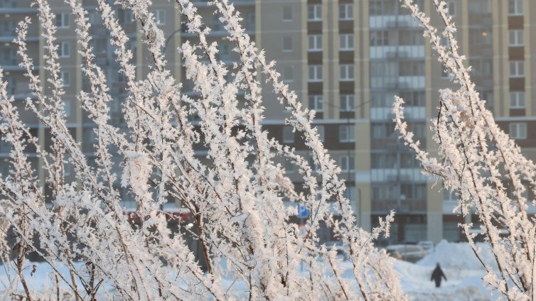 Температурата в Москва падна под минус 20 градуса