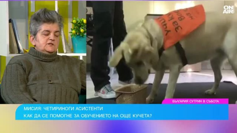 Кучетата от “Очи на четири лапи” са с мисия и променят животи