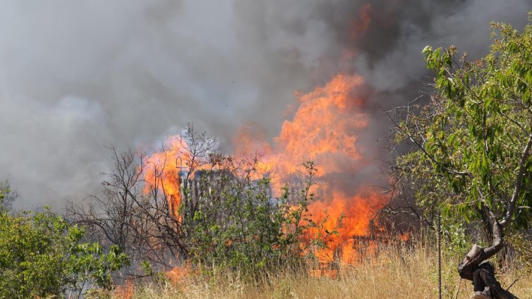 Голям пожар гори край Сопот до Пречиствателната станция