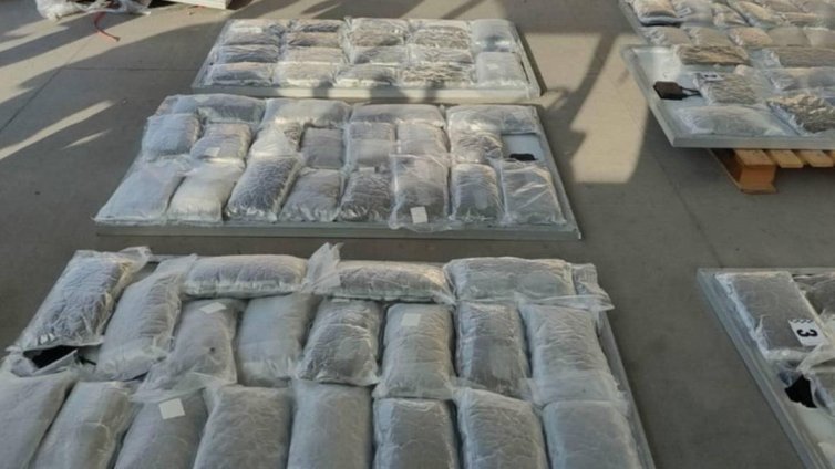 Специализирана акция в Бобов дол доведе до изземането на осем кг марихуана