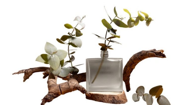Как да изберете подходящия аромат за лятото
