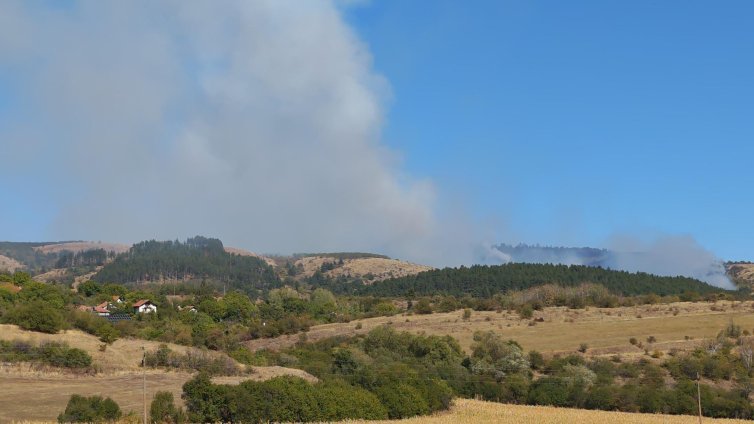 Нови пожари възникнаха в землището на село Ясен