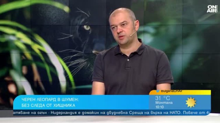 Нова теория: Хищникът от Шумен дошъл от Унгария? 