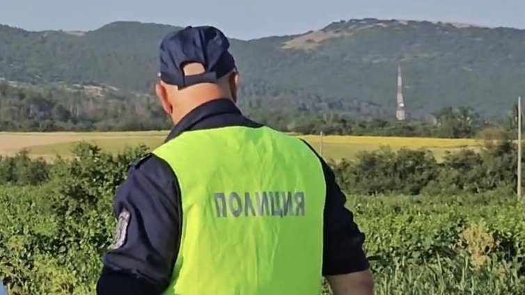 18-годишна се качи зад волана след употреба на метамфетамин