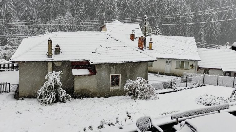 Обилен сняг вали в Родопите, проходите "Пампорово", "Рожен" и "Превала" са със снежна покривка