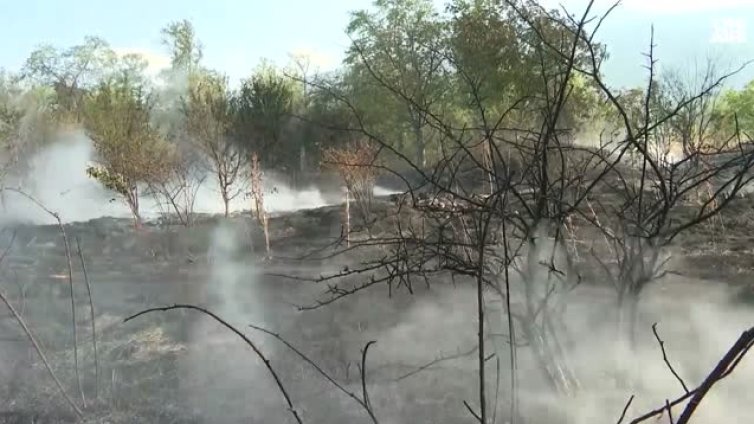 Локализиран е пожарът в "Кръстова вада"