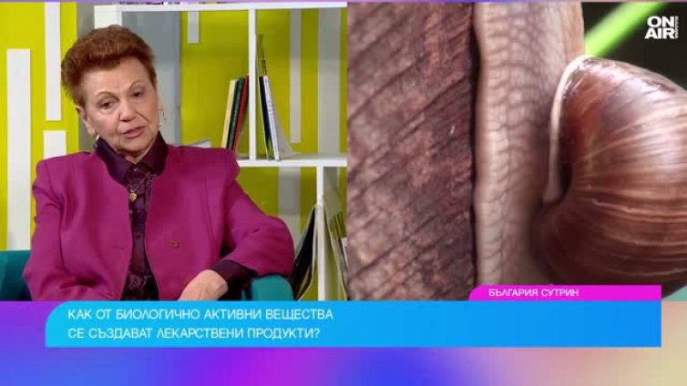 Българският охлюв става все по-ценна суровина за лекарства