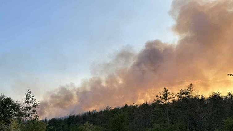 МВнР: България реагира светкавично на пожарите в РСМ