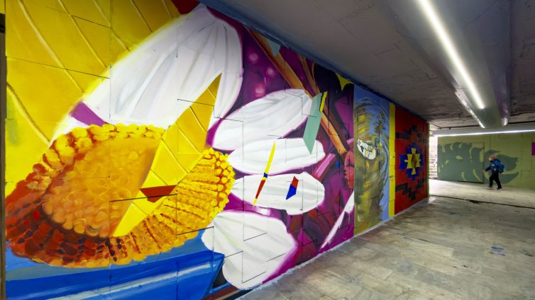 Художници преобразиха подлезите на бул. &ldquo;Цариградско шосе&rdquo; СНИМКИ