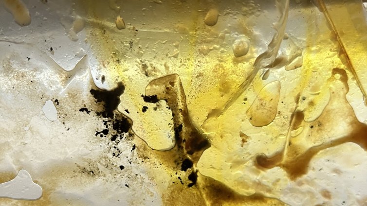 Храната, която ядем: Месо от мръсни тави, развалени млека, сок с мазна субстанция...