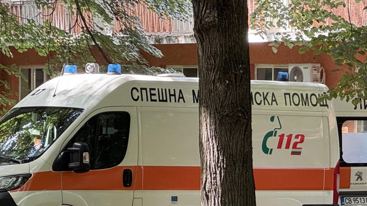 Домашно куче нахапа дете на улица в Казанлък