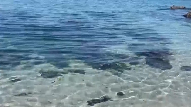 Жена от Бургас се удави на Централния плаж в града