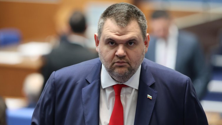 Групата на консерваторите и патриотите в ПАСЕ прие ДПС-Ново начало