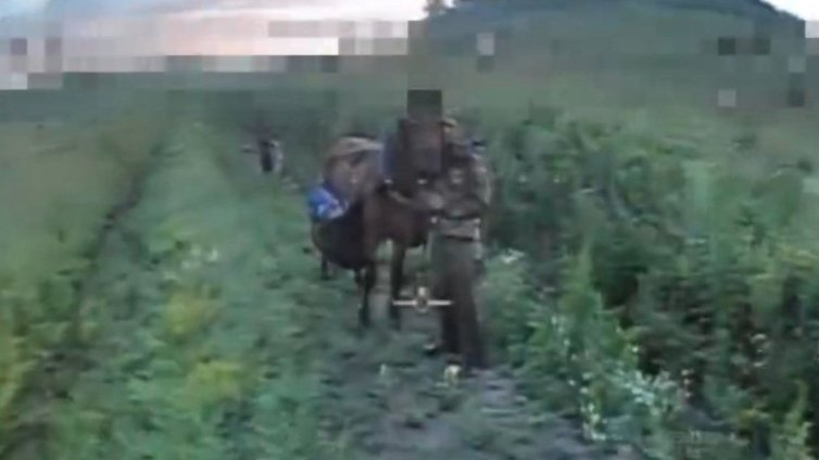 Украйна унищожи една от кавалерийските части на Русия