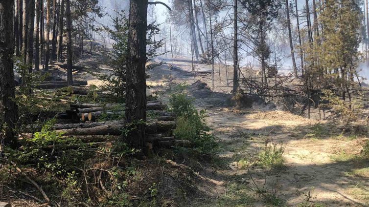 Пожарът в Рила, над Илийна река, се разраства