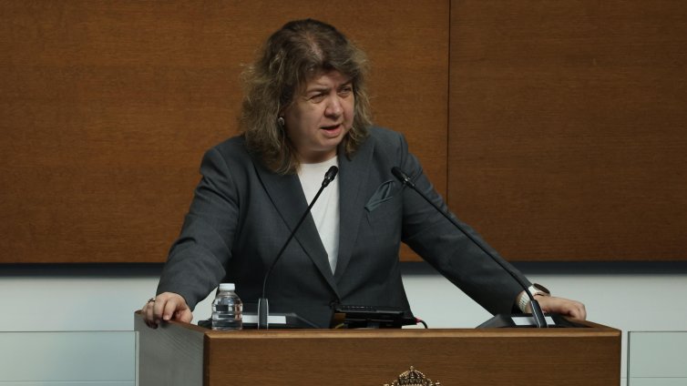 Киселова: От нас зависи дали парламентаризмът ще успее да оцелее
