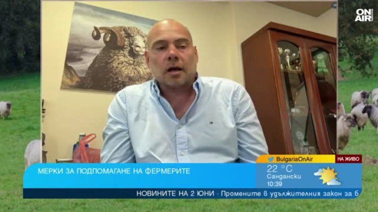 Експерт: БГ млякото е дефицит, купуваме &ldquo;скъпа вода за 12 евро&rdquo;