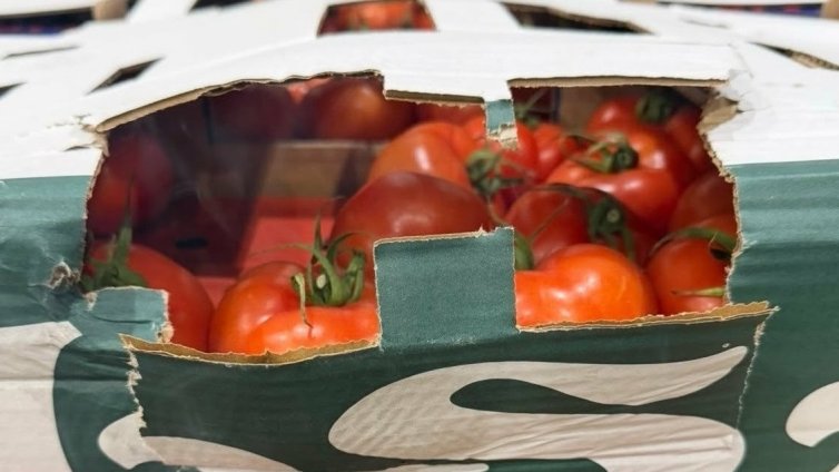 Недекларирани над 14 тона зеленчуци разкриха на &bdquo;Лесово&ldquo;