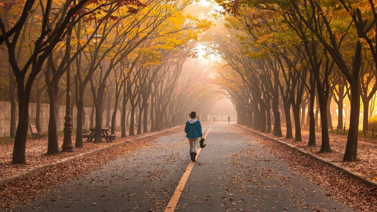 По 4000 крачки на ден намаляват риска от ранна смърт с 40%