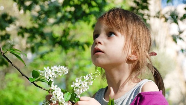 Астрономическата пролет настъпва днес в 11.01 часа
