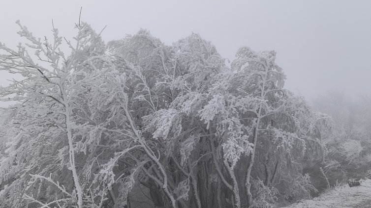ПСС: Лоши са условията за туризъм в планините