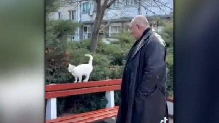 Пеене, музика... Колоритът на изборната кампания