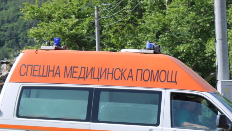 91-годишен мъж е в болница след нападение от кучета