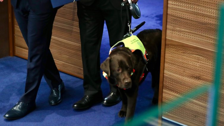 За първи път: куче-водач ще е част от НС