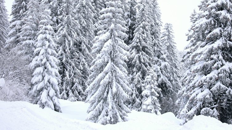 Трети ден бедствено положение в смолянските села Мугла и Киселчово