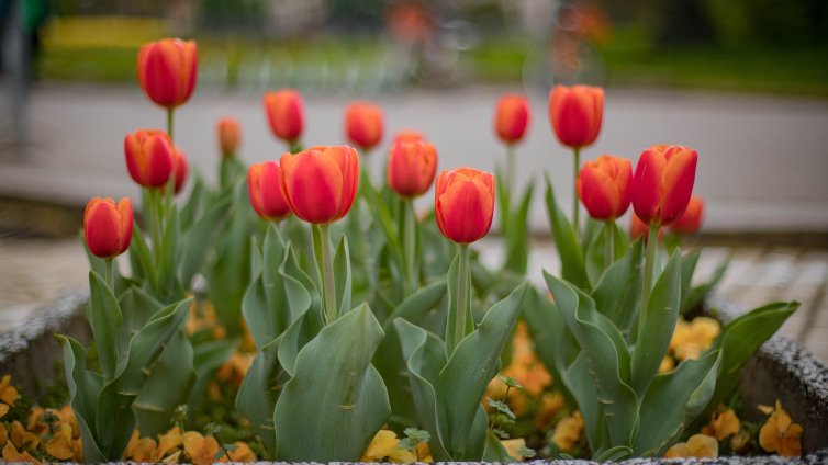 Времето днес: Слънчево, термометърът ще удари 18&deg;
