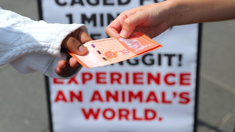 Ще е нужно повече от Тръмп, за да заблести еврото