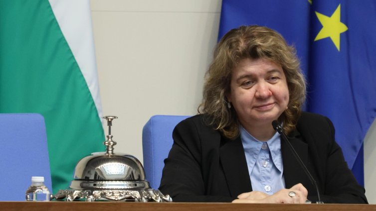 Киселова за еврото: В последните 2-3 месеца правителството прави немалко