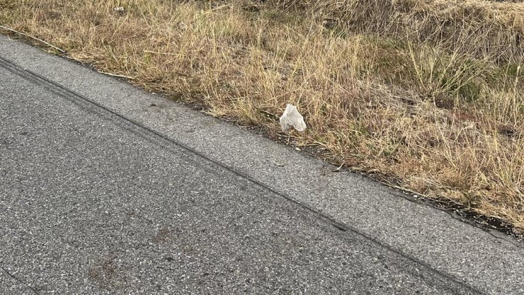 19-годишна шофьорка загина при катастрофа в Русенско