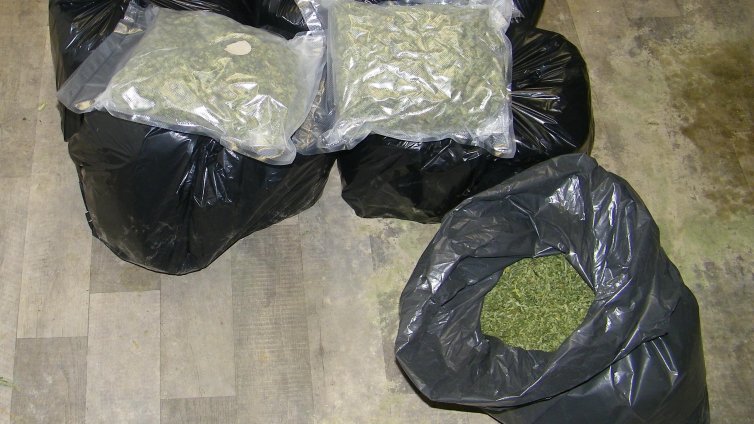 МВР отчита два пъти повече площи с наркотици за месец