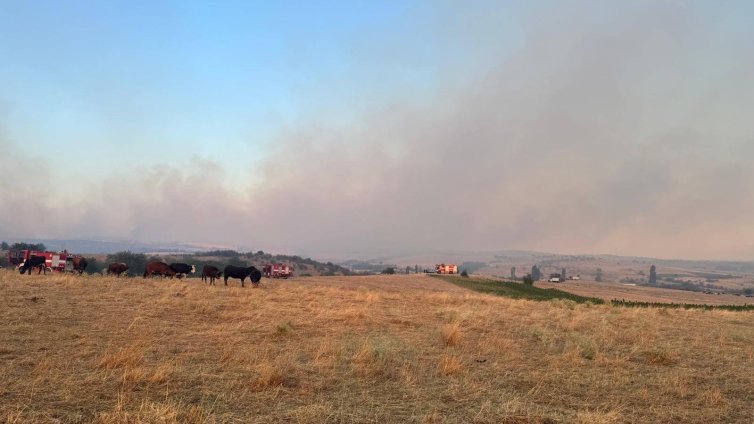 Кметът на Нова Загора иска проверка на електропреносната мрежа заради пожарите