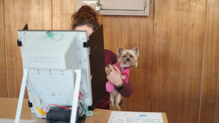 Дезинформация и социални мрежи: Как премина предизборната кампания?