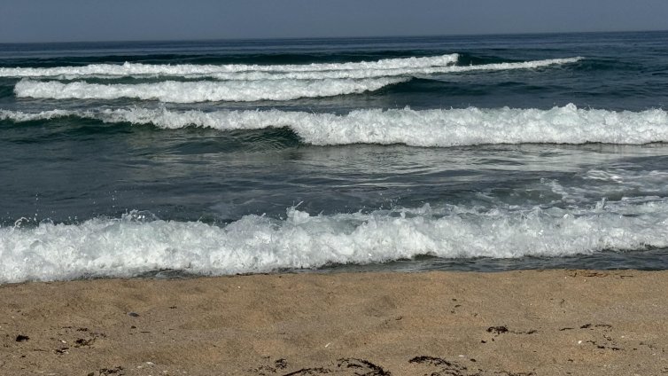 Стряскащо: Изплуваха трупове във Варна и Поморие тази сутрин