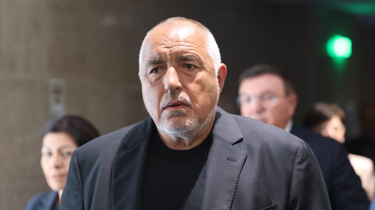 Бойко Борисов: С паднало правителство няма еврозона