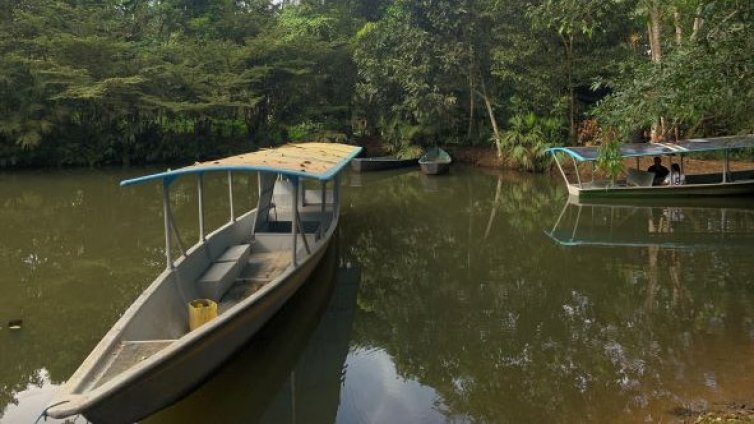 Зловещо: Намериха човешки глави на плаж и послание