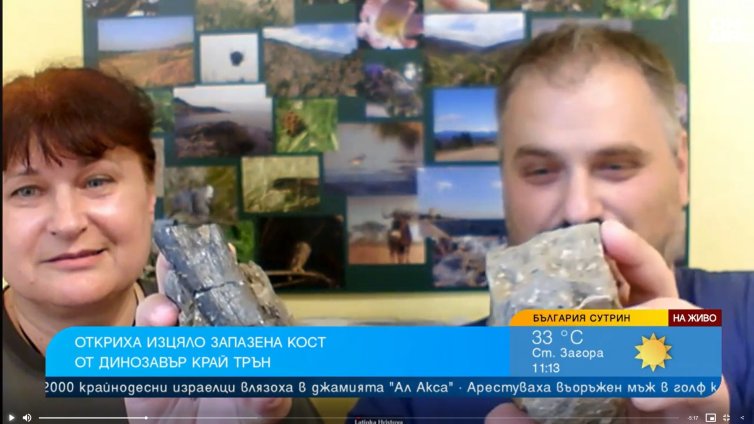 На 83 млн. години е откритата кост на динозавър край Трън