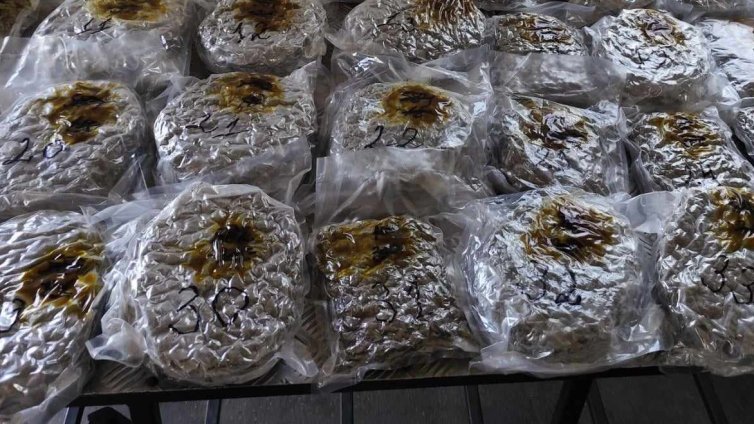 Близо 700 килограма марихуана хванаха на "Лесово"