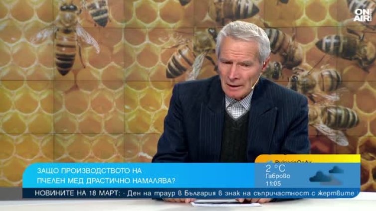 Родният мед изчезва, включен е в малката потребителска кошница