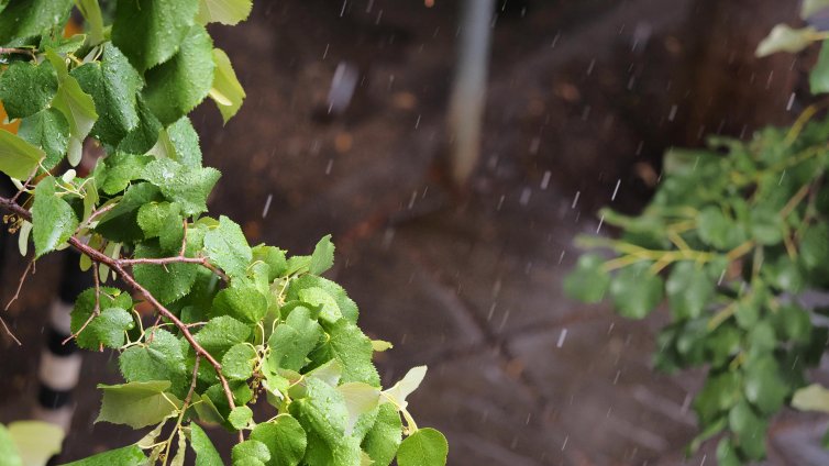 Облачно и дъждовно остава времето в сряда, най-много ще вали на север