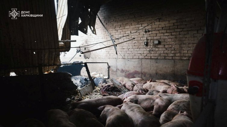 Русия и Украйна си размениха удари по енергийната си инфраструктура