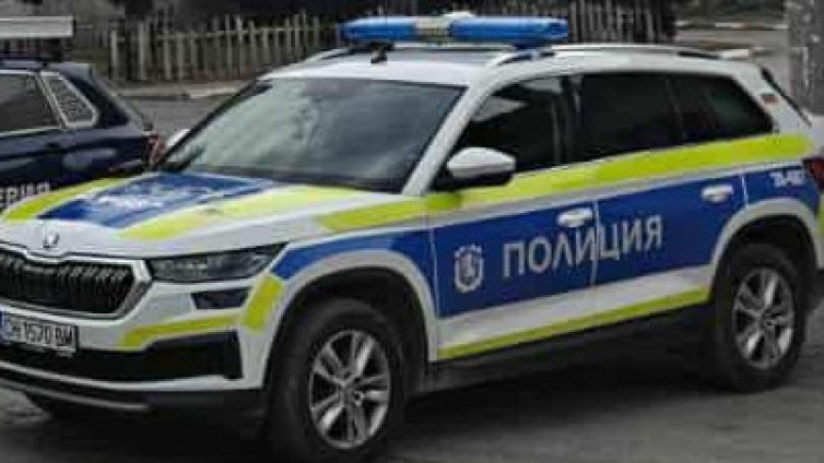 Арест за двама мъже за смъртта на кучета в Пернишко