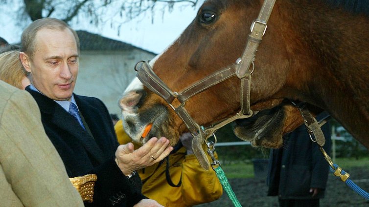 На фона на кризата с горивата: Продажбите на коне в Русия скочиха